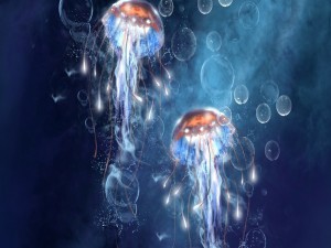 Medusas nadando entre burbujas