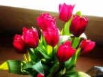 Bonito ramo de tulipanes fucsias
