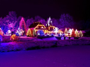Postal: Casa y árboles iluminados esperando la Navidad