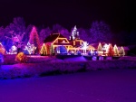 Casa y árboles iluminados esperando la Navidad
