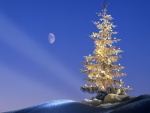 La luna en el cielo en la noche de Navidad
