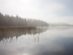 Postal: Una mañana muy brumosa en el lago