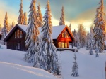 Hermosa cabaña entre pinos cubiertos de nieve