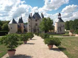 Postal: Castillo de Chamerolles (Francia)