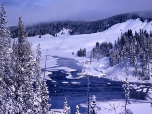 Postal: Yellowstone en invierno