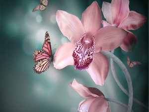Orquídeas y mariposas