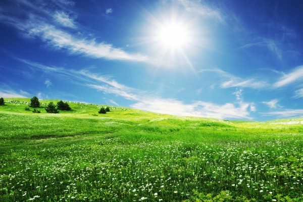 El brillante sol iluminando una pradera verde