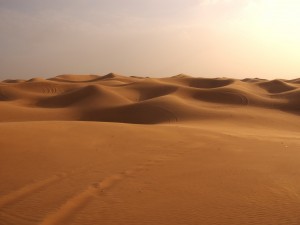 Dunas en el desierto
