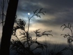 La luna entre nubes al anochecer