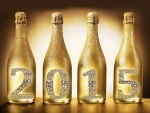 Festejando el "Nuevo Año 2015" con champán