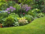 Jardín con esplendorosas y delicadas flores