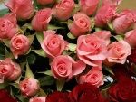 Romántico ramo de rosas