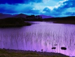 Río color púrpura al amanecer