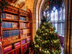 Biblioteca adornada con un árbol de Navidad