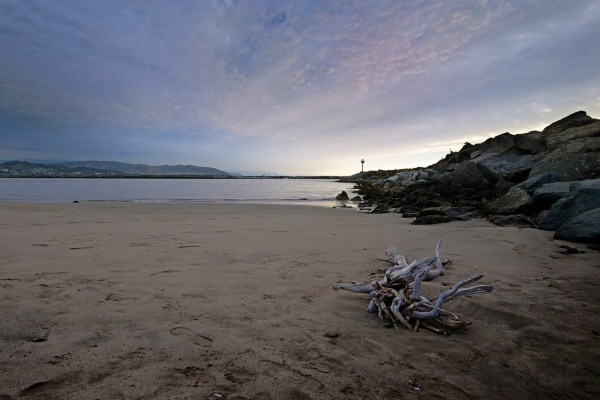 Ramas y troncos apilados sobre la arena de una playa