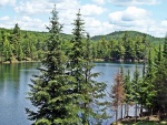 Río y bosque en Canadá