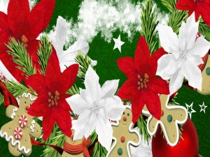 Postal: Galletas de jengibre y flores de pascua para Navidad