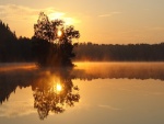 El sol tras un árbol reflejados en el agua