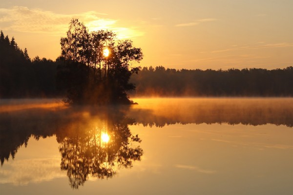 El sol tras un árbol reflejados en el agua