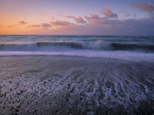 Postal: Orilla del mar al amanecer