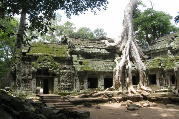 Arquitectura del templo Angkor Wat invadida por las grandes raíces de un árbol