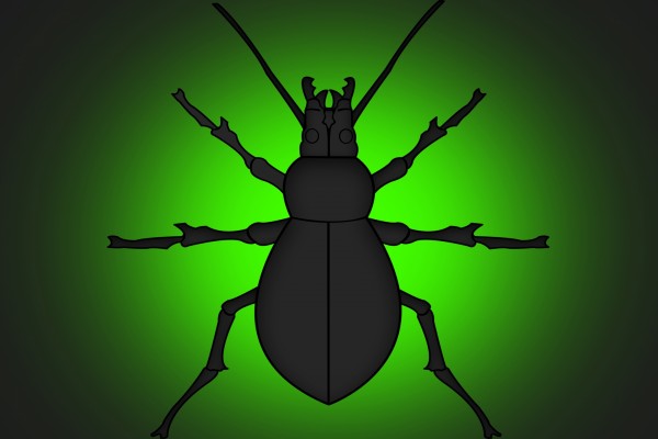 Gran escarabajo en fondo verde