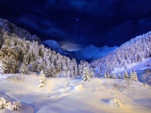 Postal: Campo cubierto de nieve visto en la noche