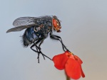 Una mosca sobre los pétalos de una flor