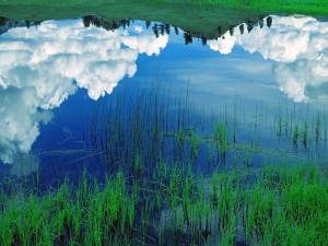 Postal: Cielo y nubes reflejados en el agua