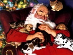 El amor de Papá Noel por los animales