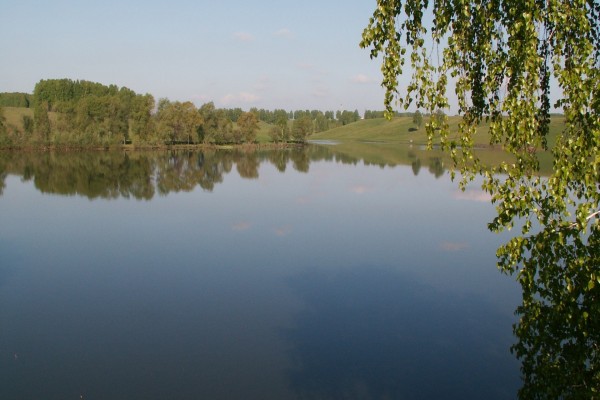 Lago en una zona verde