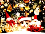 Un gatito entre luces y adornos navideños