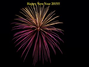 Fuegos artificiales y ¡Feliz Año Nuevo 2015!