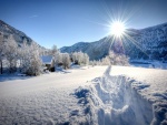 Los brillantes rayos del sol iluminan el paisaje nevado