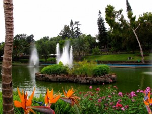 Postal: Fuentes en un estanque rodeado de hermosas flores