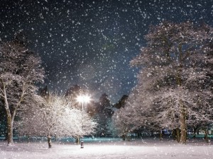 Nieve cayendo al anochecer en un parque