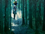 Motocross en el bosque