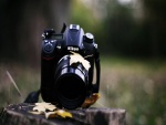Hojas otoñales sobre una cámara de fotos Nikon