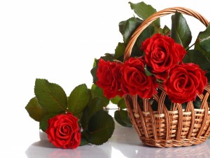 Postal: Rosas rojas en una cesta