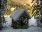 Pequeña cabaña de madera en un bosque nevado