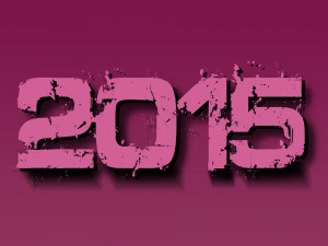 Nuevo Año 2015