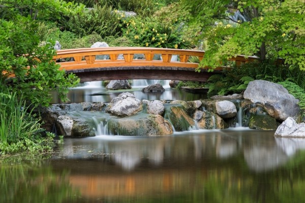 Un bonito puente de madera sobre el agua
