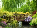 Hermoso puente cubierto de plantas y flores