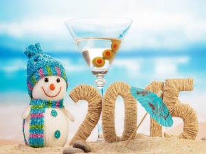 Cóctel para celebrar el Nuevo Año 2015