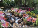 Flores y plantas junto a una cascada