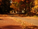 Calle cubierta de hojas otoñales