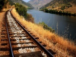 Vía de ferrocarril a orillas de un río