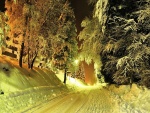 Camino nevado en la noche
