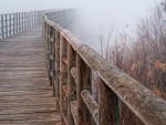 Niebla en el puente de madera