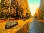Parque solitario en otoño